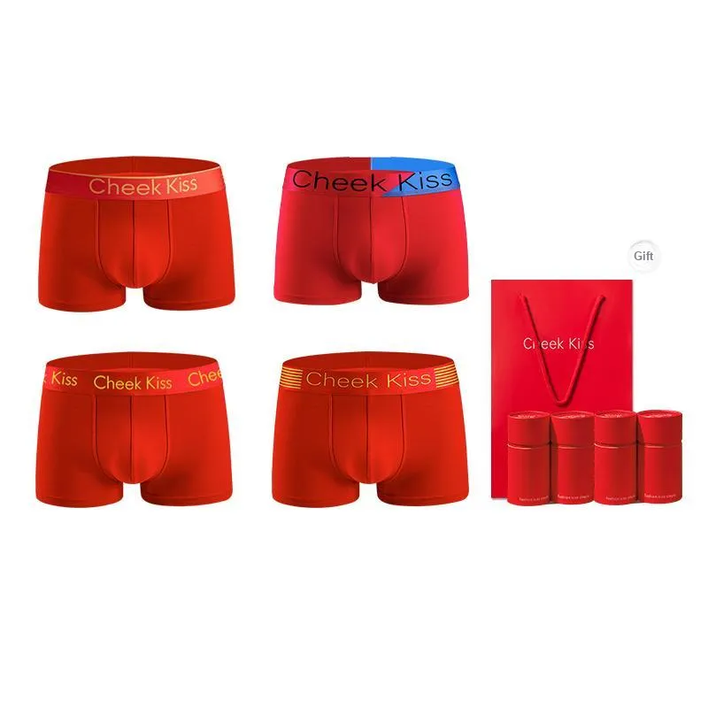 Cheekkiss Underpants Men's 3 Pack-12