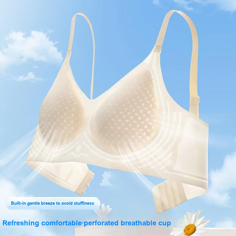David Women's Bras-15