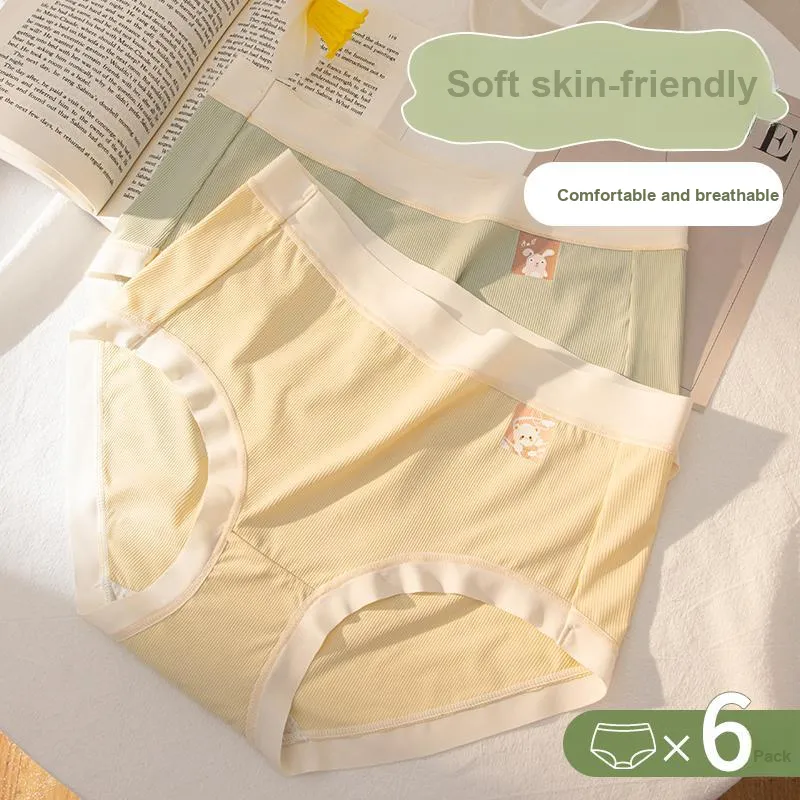 Cotton Gene Underpants Women's 2 Pack-1
