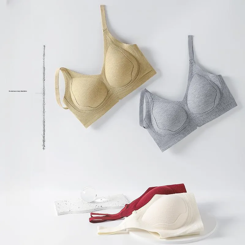 Herbal primer Women's Bras-1
