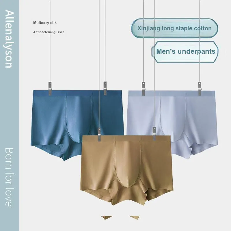 Allenalyson Underpants Men's 3 Pack-1