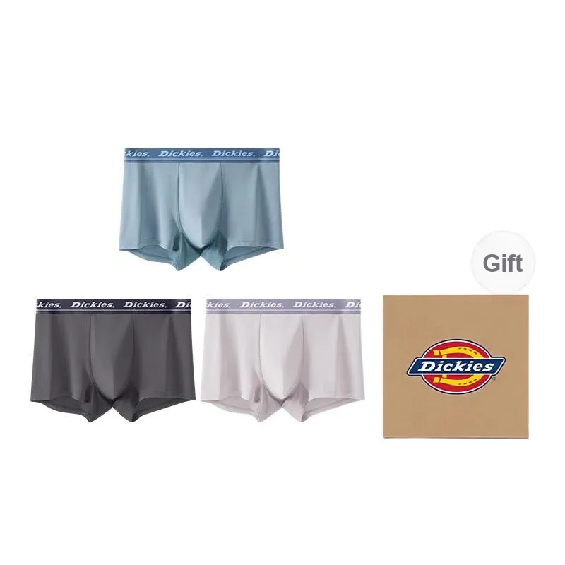 Dickies Underpants Men's Box 3 Pack-5