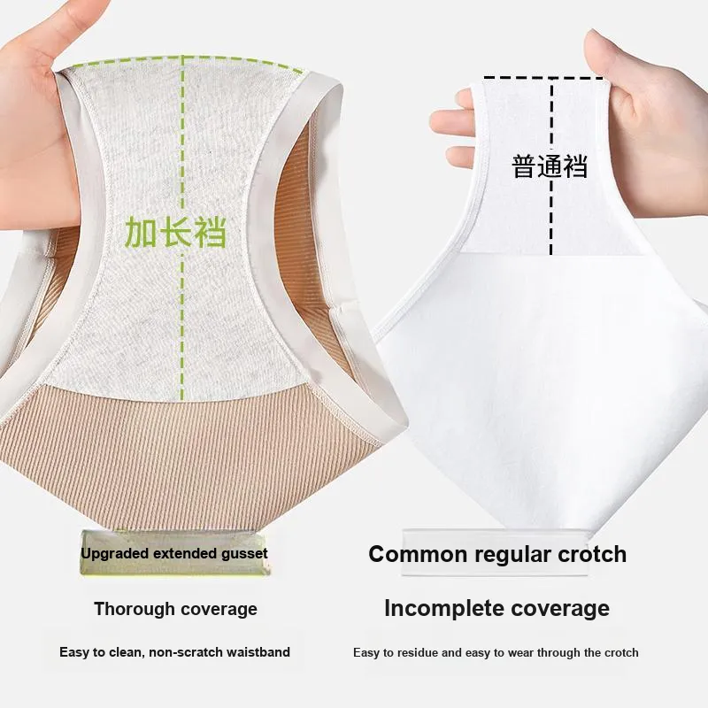 Caramella Underpants Women's 3 Pack-8