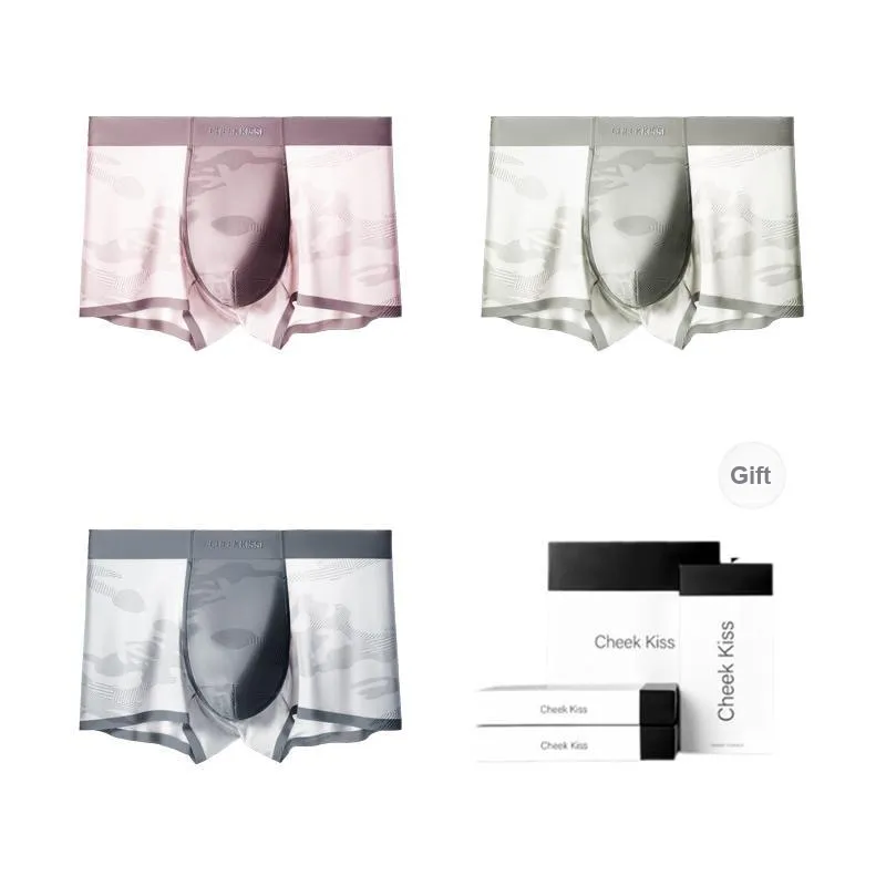 Cheekkiss Underpants Men's Box 4 Pack-30