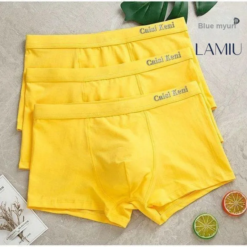 Lan Miao Underpants Men's 3 Pack-2