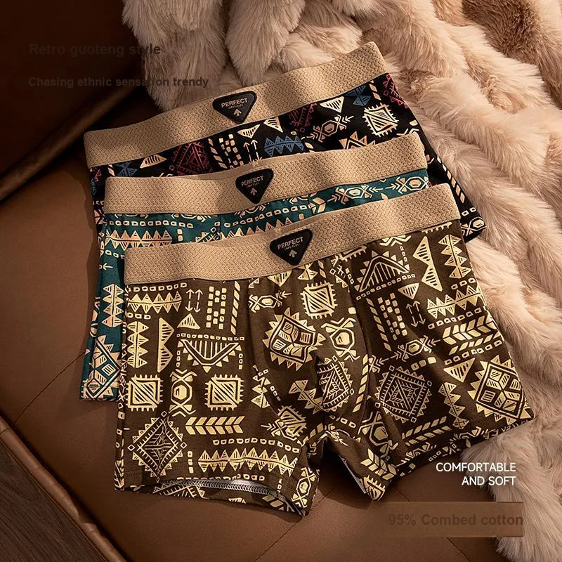 DUINIDESIYU Underpants Men's Combo Set-2