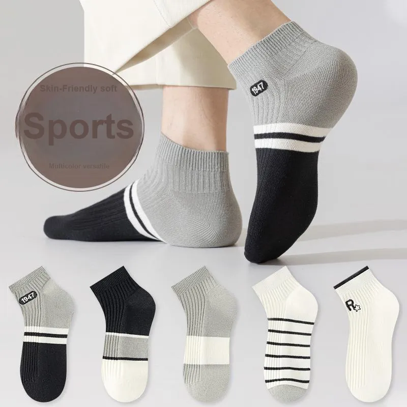 Master Mid Calf Socks Men's Box 5 Pack-21