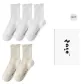 5 Pack (3 White+2 Milk White)