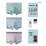 3 Pack (Pea Green+Light Gray+Cameo Brown)