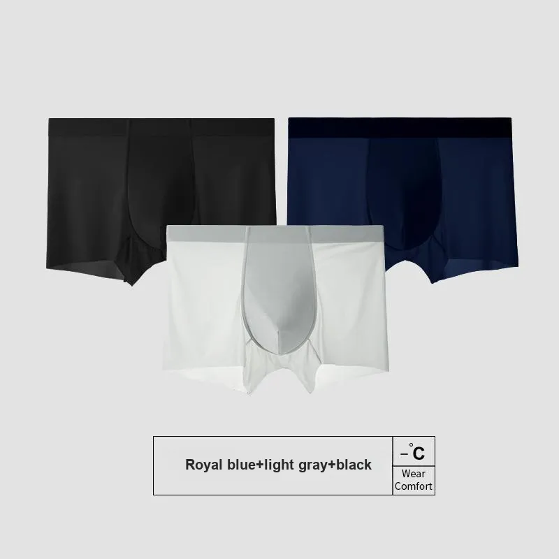 Icolor Men Underpants-21