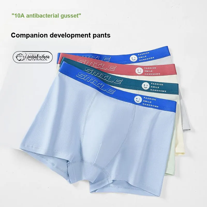 Herbal Primer Underpants Men's 4 Pack-8