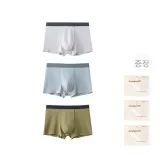 베이지 그레이 + 라이트 아스팔트 그레이 + 클러스터 퍼플