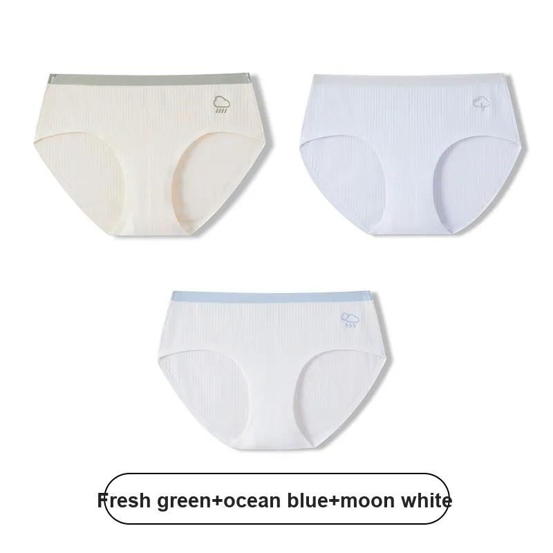 Urban Beauty Underpants Women's 3 Pack-11