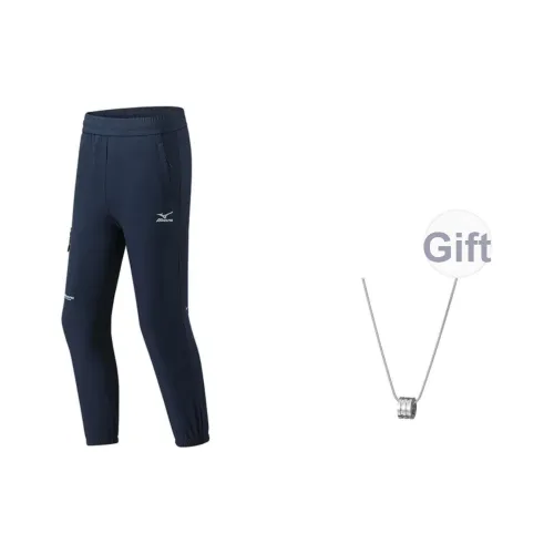 Mizuno Повседневные брюки Мужские Темно-синие С ожерельем