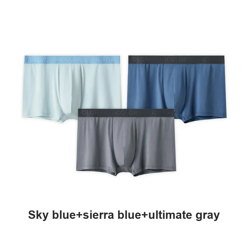 Icolor Men Underpants-27