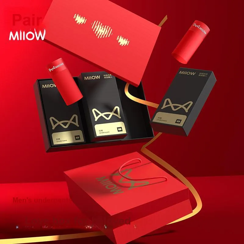 MIIOW Underwear Gift Box Men's Box 3 Pack-0