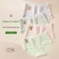 Light Gray+Green+Purple