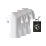 V-Neck 3 Pack (White+White+White)