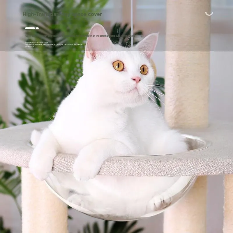 Pampering Pet Toys-4