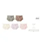 5B Khaki Green+Brown+Light Yellow+Light Purple+Light Pink