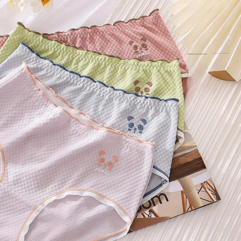 Cotton Gene Underpants Women's 6 Pack-6