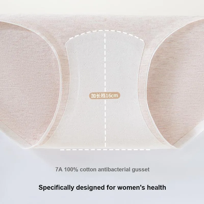 MIIOW Underpants Women's 4 Pack-11
