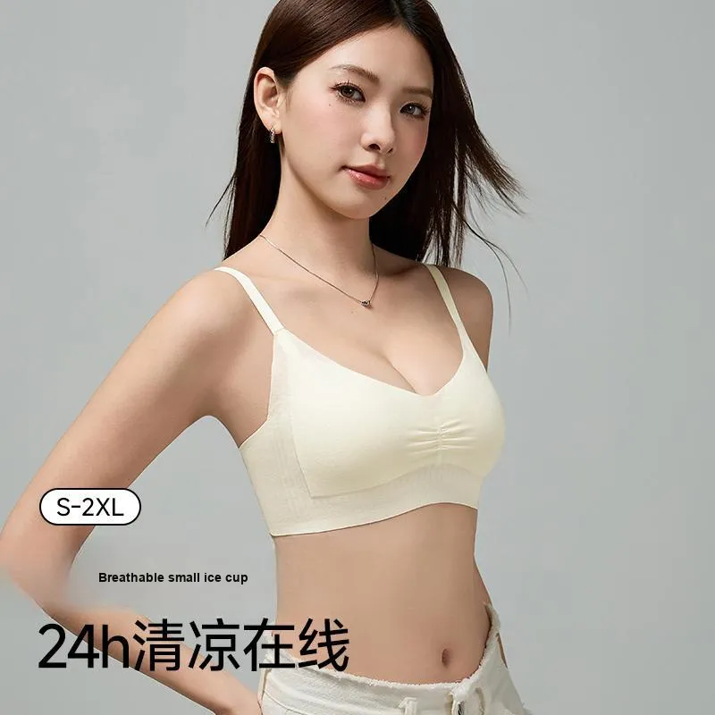 David Women's Bras-7