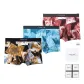 7A Grade Antibacterial Seamless Ice Silk[Walnut Brown+Peacock Blue+Burgundy Red]3 Pack Gift Box Set