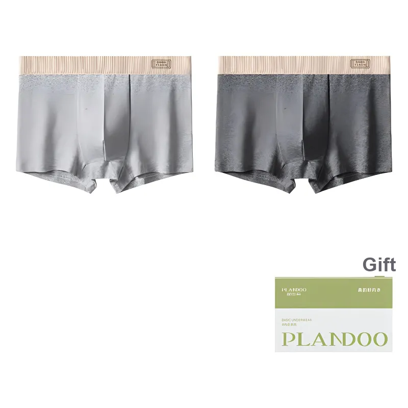 PLANDOO Underpants Men's Shopping Bag 2 Pack-2