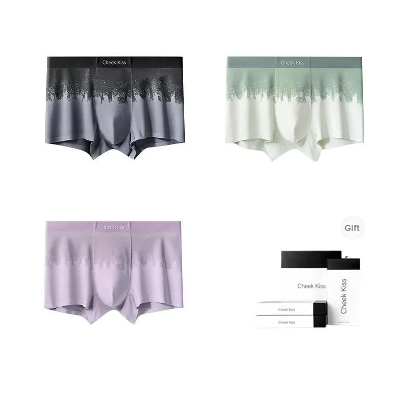 Cheekkiss Underwear Gift Boxes Men's 3 Pack-12