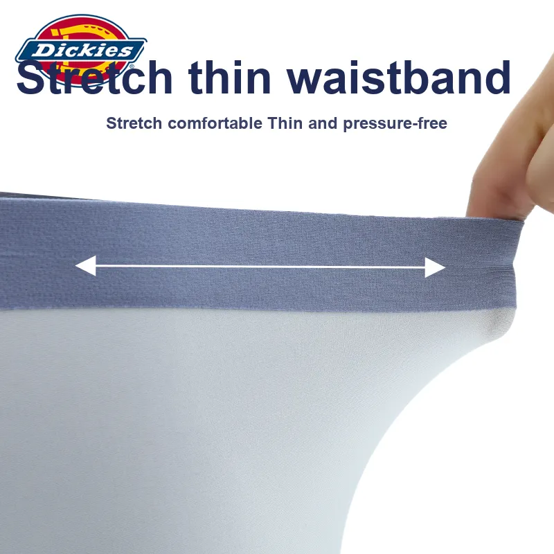 Dickies Underpants Men's Box 3 Pack-14