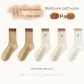 Khaki 2 Beige Coffee 2 Ecru (5 Pack)