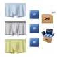 Light Gray+Fruit Green+Light Blue