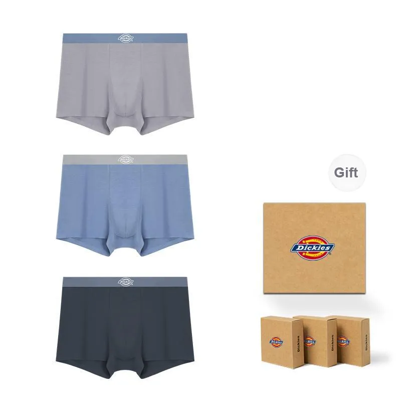 Dickies Underpants Men's Box 3 Pack-47