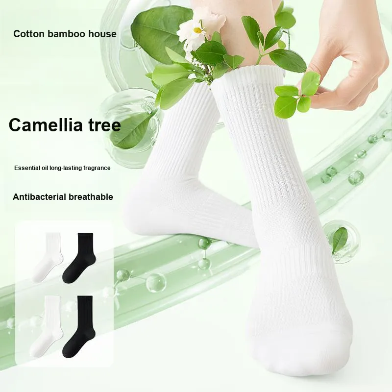 B&C.Room Knee High Socks Women's 5 Pack-3