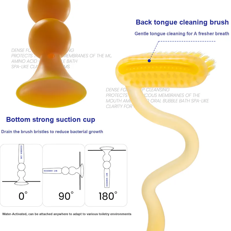 Ecoobix Z Shaped Toothbrushes Fine Soft Brush Up And Down, Vertical Bottom With Suction Cup-1