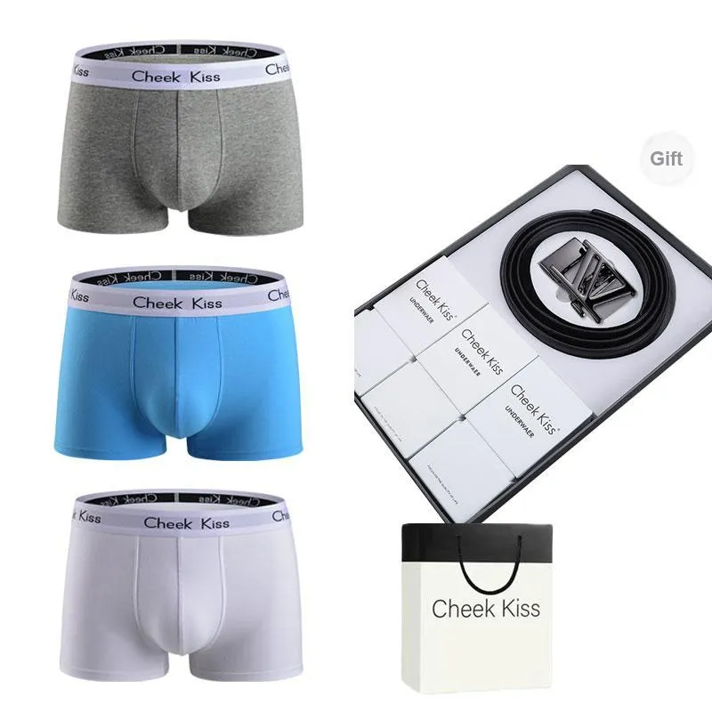 Cheekkiss Underwear Gift Boxes Men's 3 Pack-19