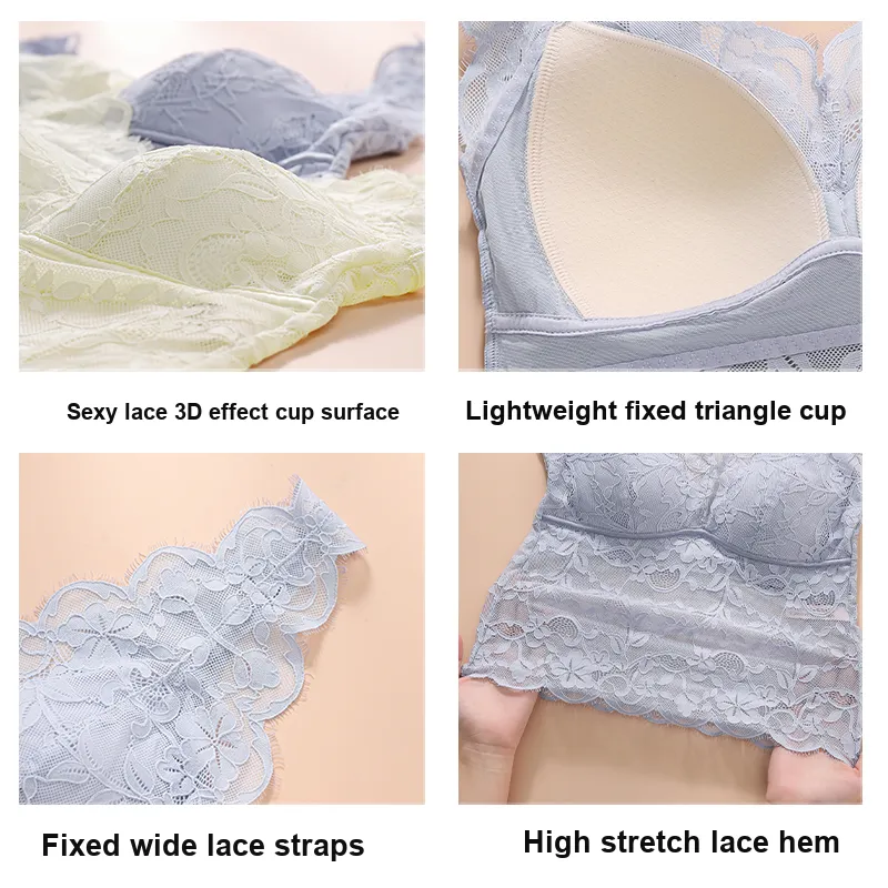 Lanza Women's Bras-2