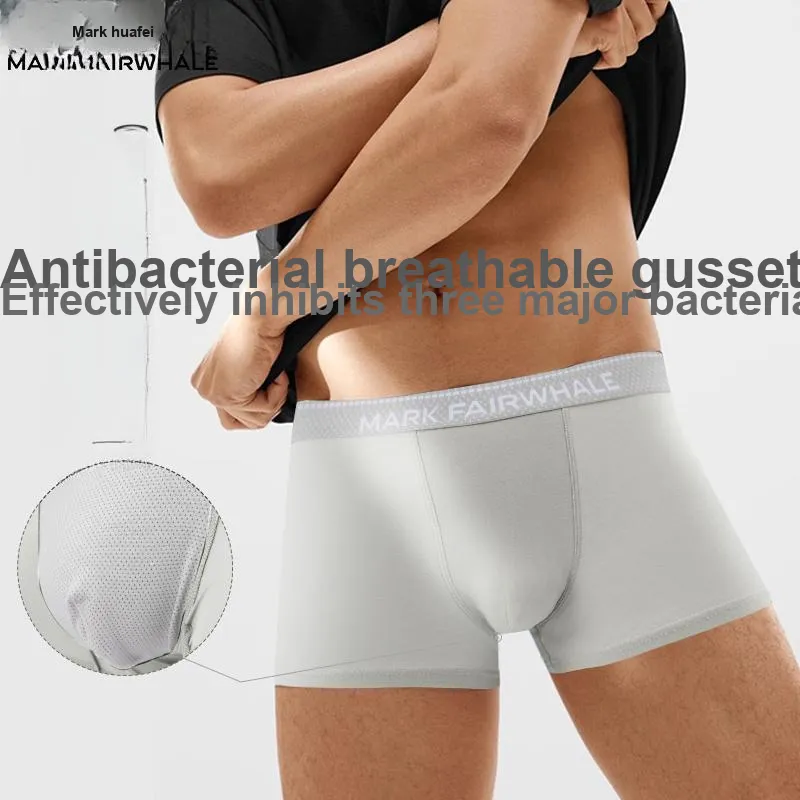 FAIRWHALE Underwear Men's Box 4 Pack
