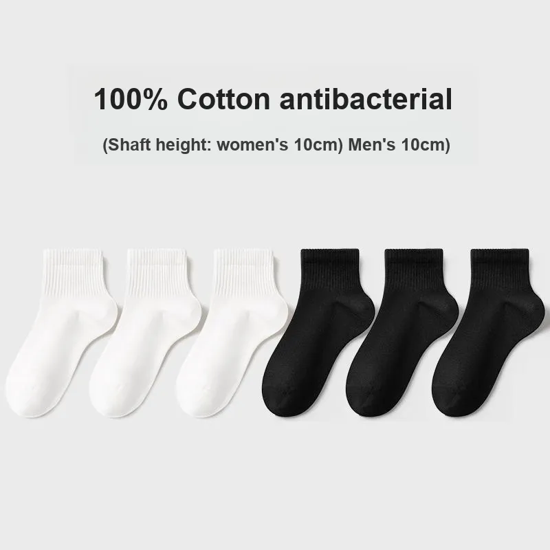 B&C.Room Mid Calf Socks Women's 6 Pack-6