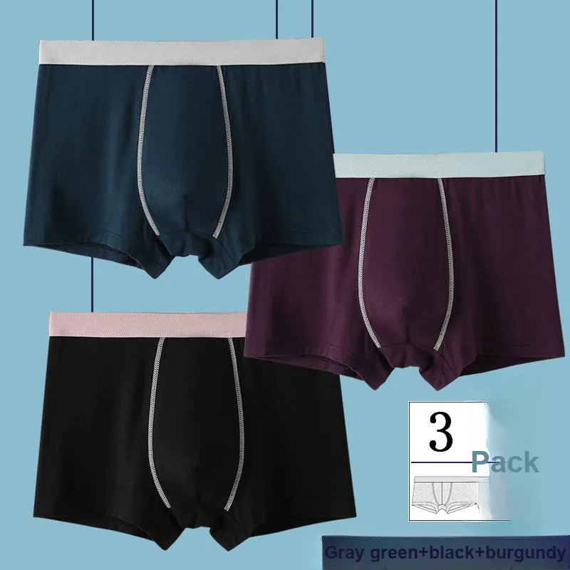 Chun Xi Men Underpants-1