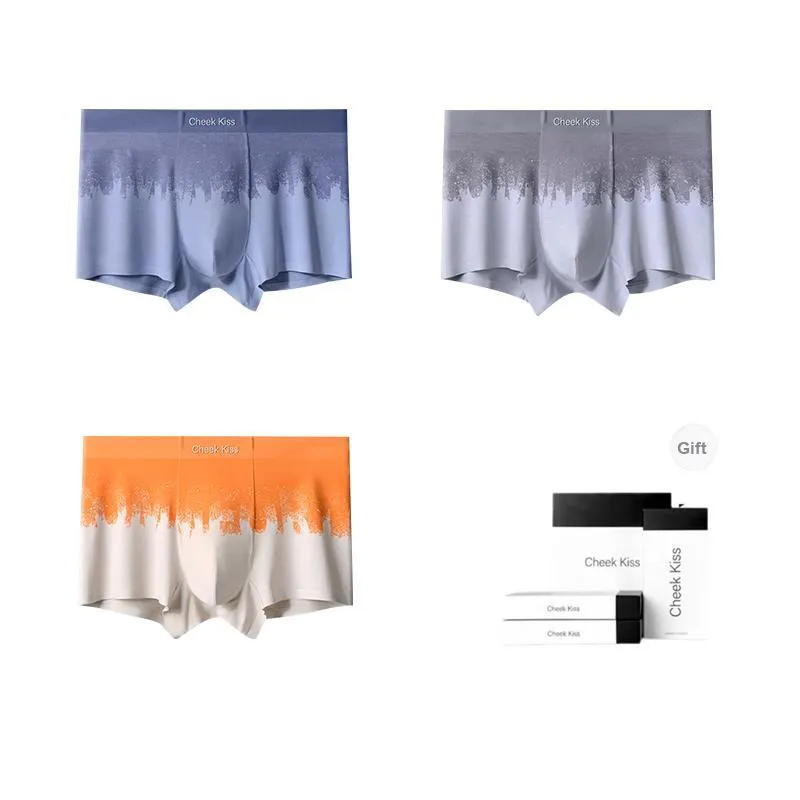 Cheekkiss Underwear Gift Boxes Men's 3 Pack-6