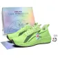 Grass Green (Box Limited Edition)