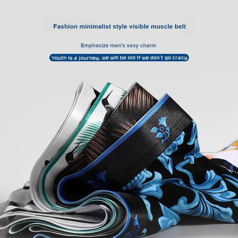 Lan Miao Underpants Men's Combo Set-15