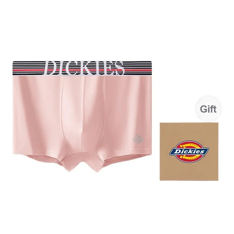 Dickies Underpants Men's Combo Set-24