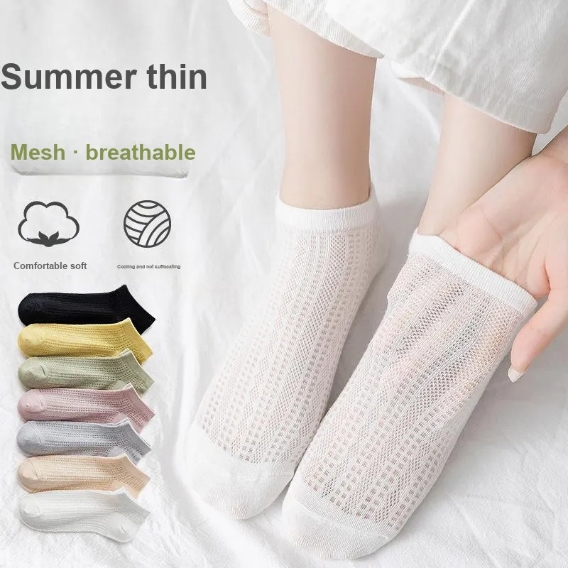 Beerus Ankle Socks Women's Combo Set-2