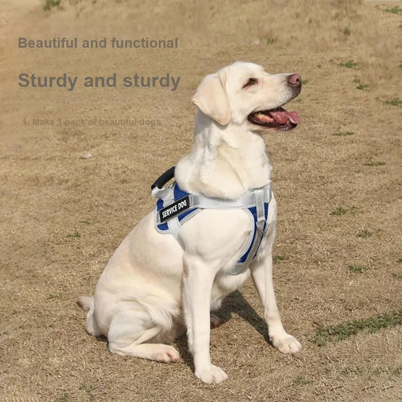 Pampering Leashes-9