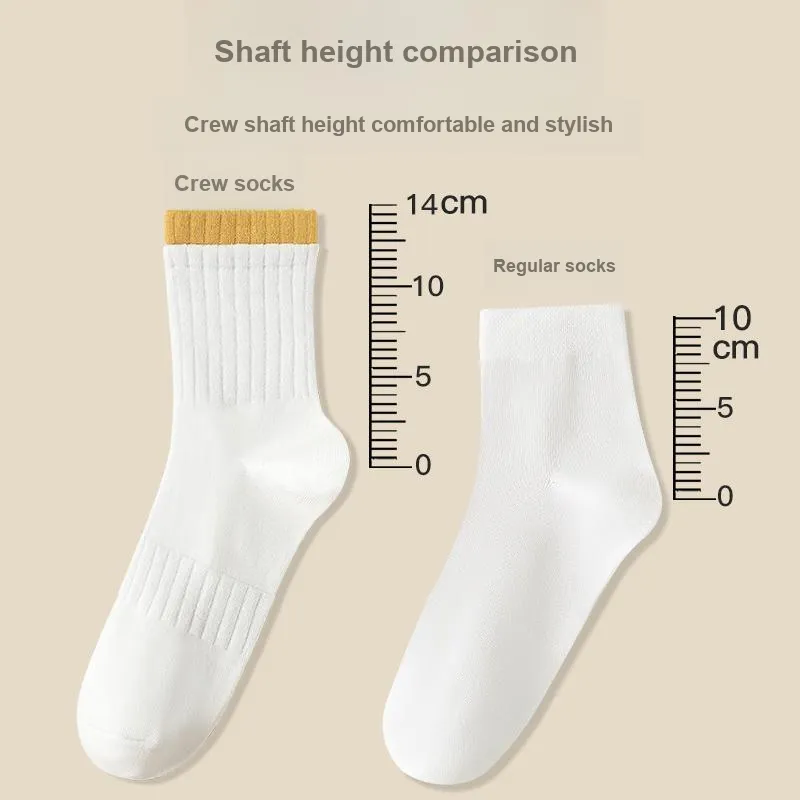 Lanza Mid Calf Socks Women's 6 Pack-2