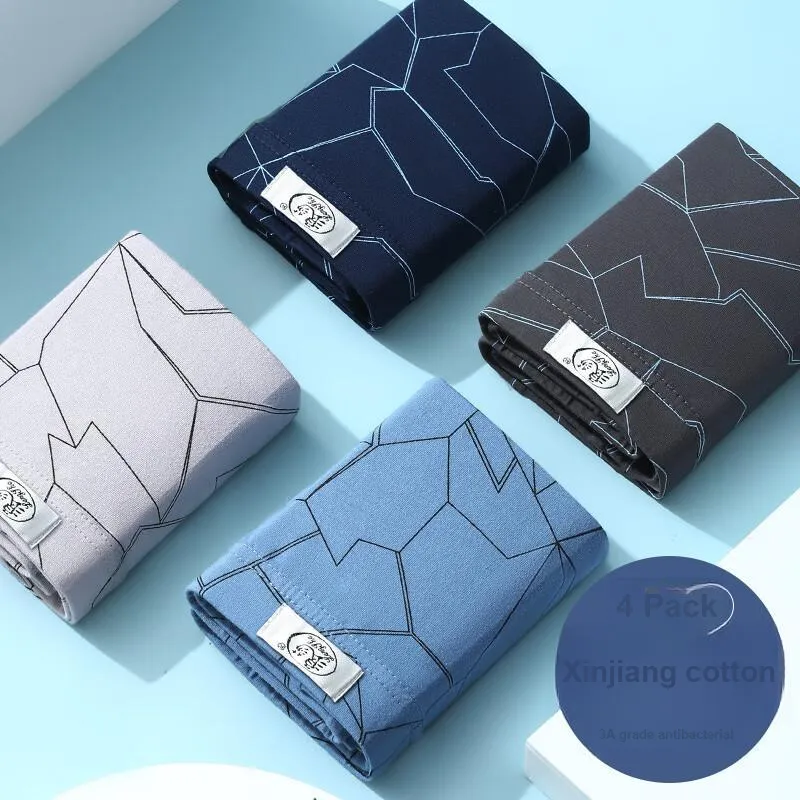 Lanza Underpants Men's 4 Pack Mixed Color-4
