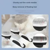 Слайды шлепанцы cool cat your sport женские р